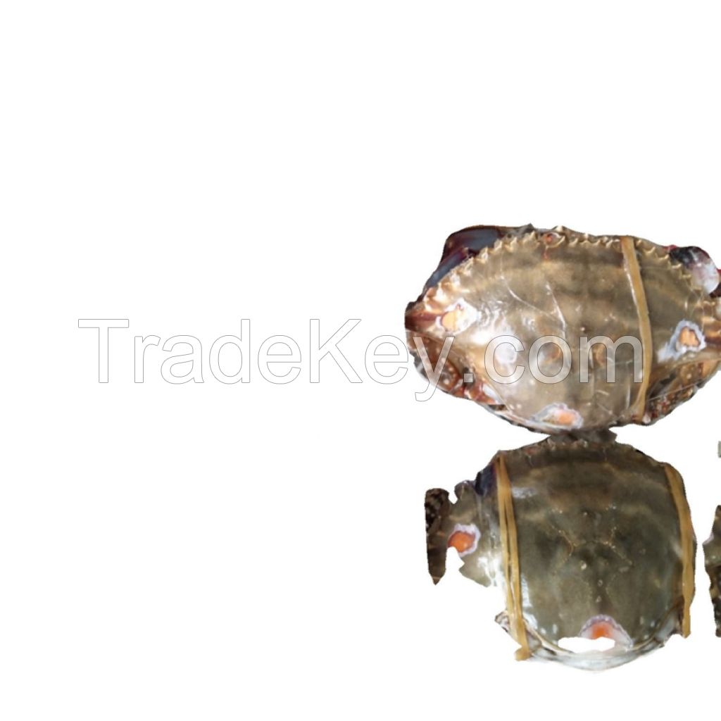 live mud philippines whole fat delicious king crab-leg price whole foods crabs meat blue swimming crab frozen