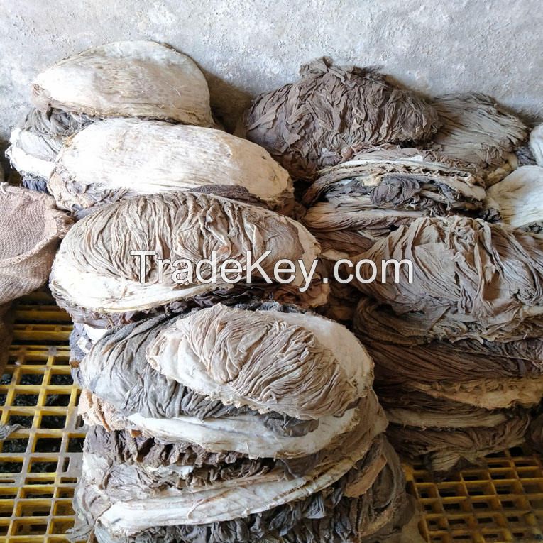 omasum salted beef wholesale dry salted beef omasum and buffalo offal bulk suppliers halal beef omasum dried salted