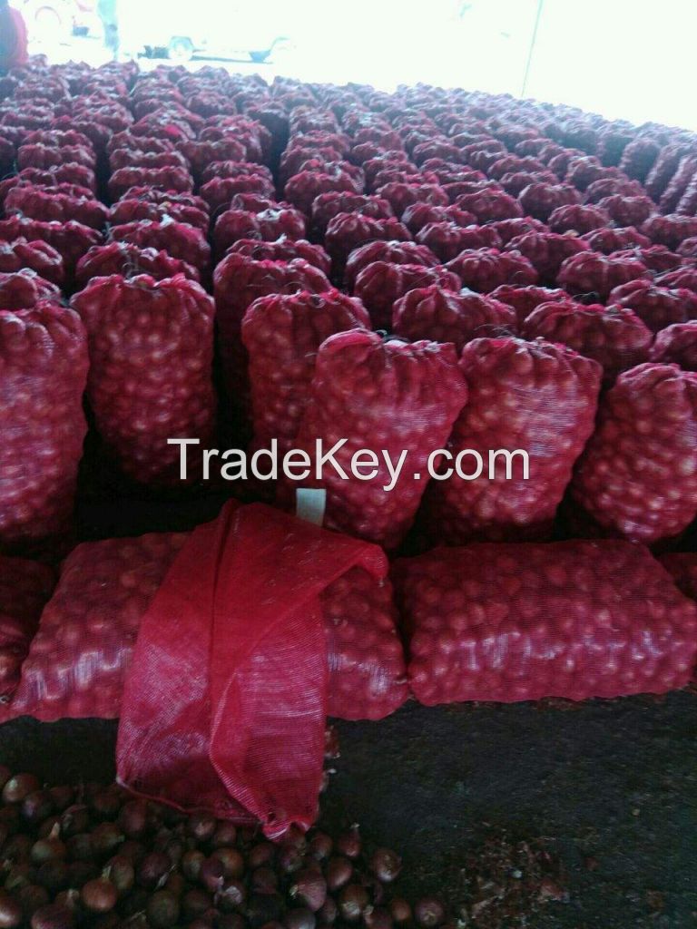 Freshest onion manufacturer exporting fresh yellow onion, red onion, white onion all year round for fried food 3--12cm onions