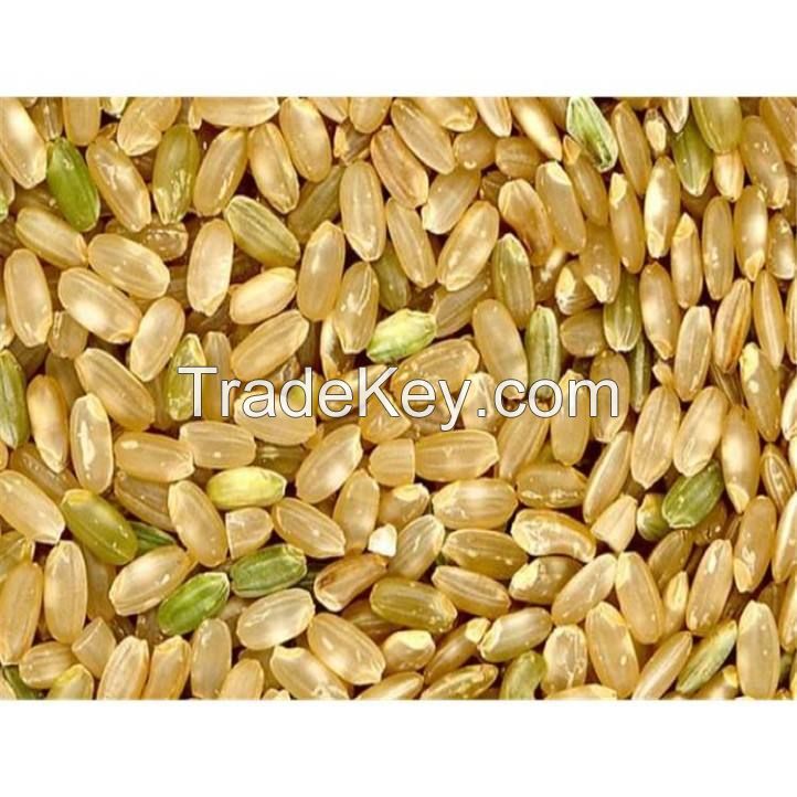 best price pure natural plant extract catuaba extract powder 10:1