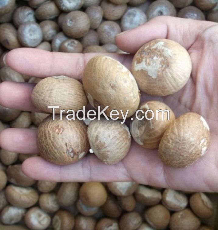 betel nut split Rich nutrition delicious Top quality South Africa roast raw betel nut areca nut bag top sun crop style packaging