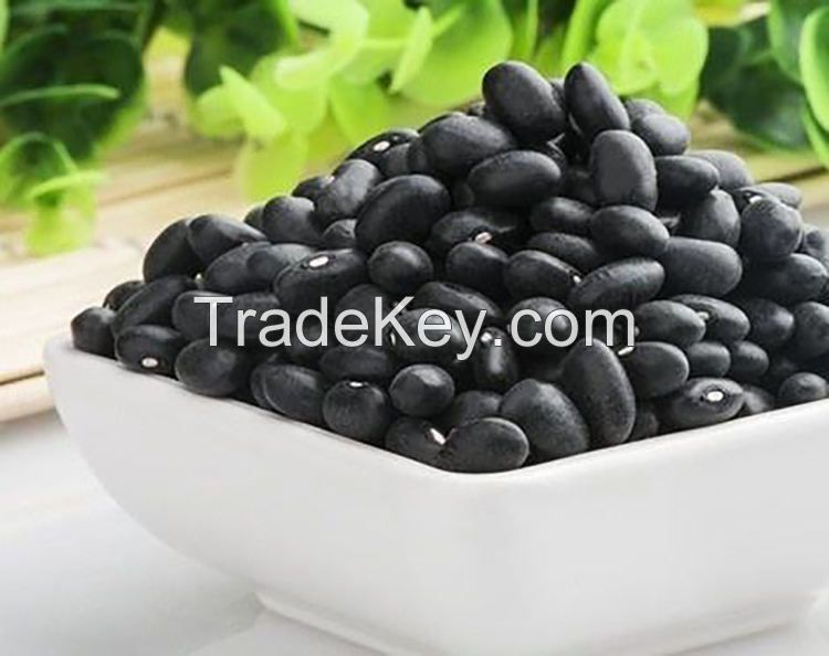 red kidney beans shelf water origin type life shape black kidney bean bags max gift red light crop long black kidney bean