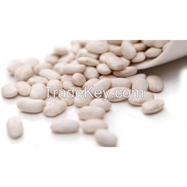 wholesale high quality dry long white kidney beans packing organic green mung bean red black max bulk style