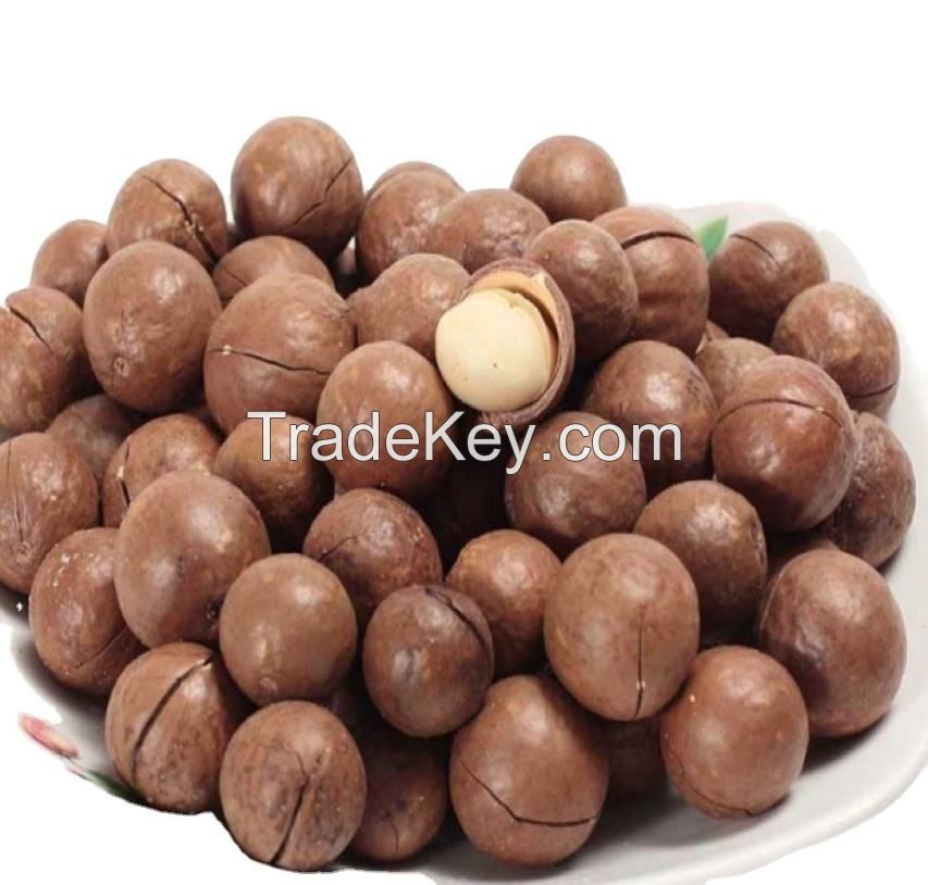 cosmetic grade hair care oil macadamia nuts oil 100 pure organic essential yellow JIN Top  macadamia kernel