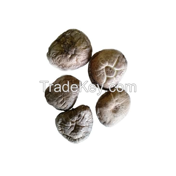 oyster mushroom superior quality ad dried shiitake  magic 3-5cm dried mushroom fresh white button mushroom