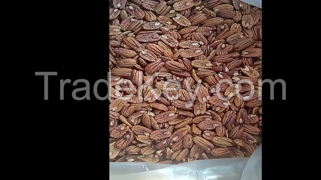 pecan nuts in shell price south africa for food human consumption in shell  raw organic pecans