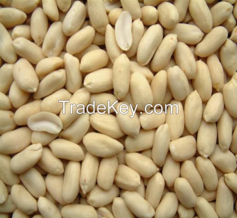 wholesale dried natural color peanuts shelled for sale packing in cartons roasted groundnuts  peanuts  raw peanuts