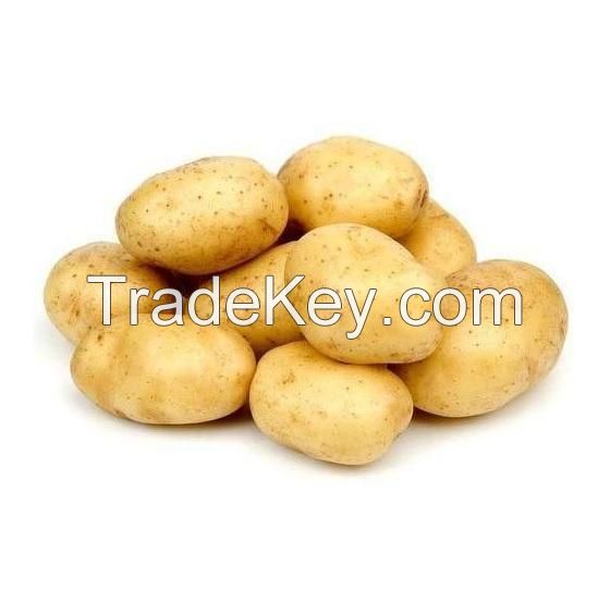 Cashew Nut Sell Vietnam Bag Crop Style Good Packaging cashews cheapest tanzania raw roasted organic cashew nuts kernels W150