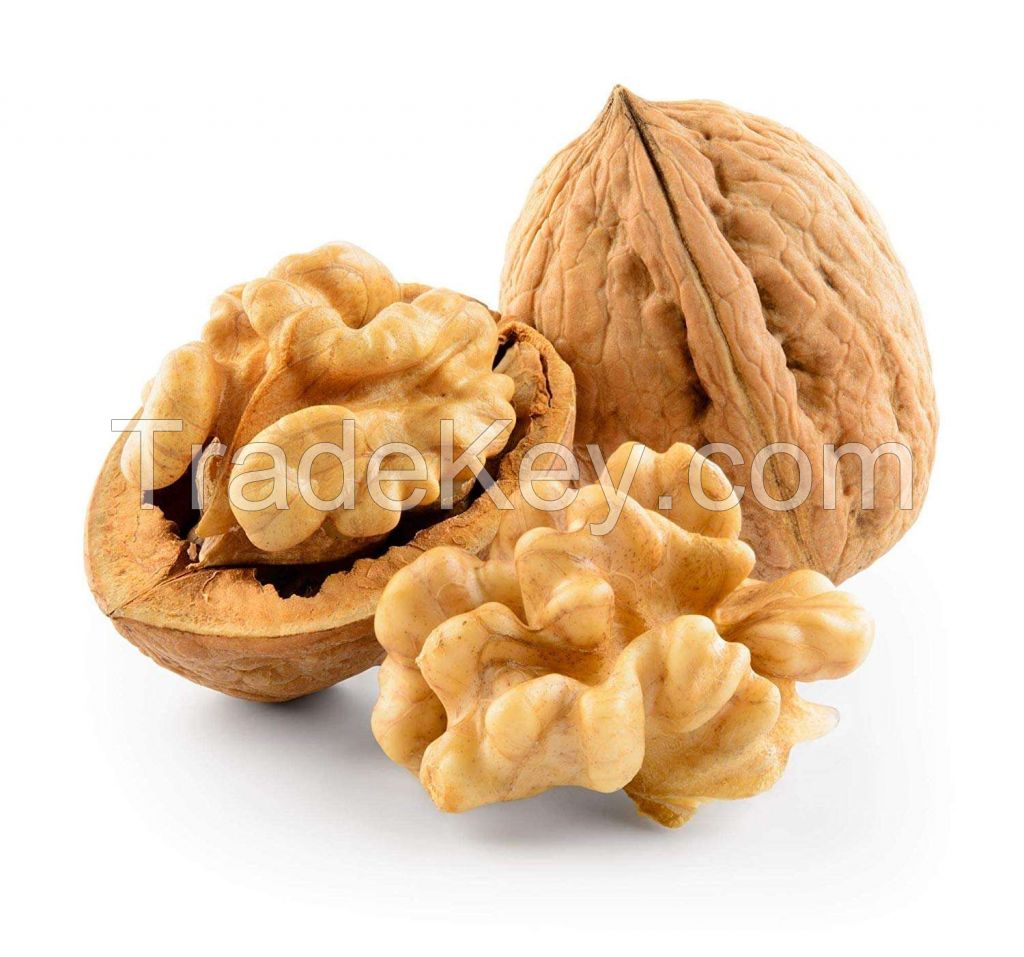 Chinese top grade wholesale cheap price yunnan 185 in shell walnuts kernels