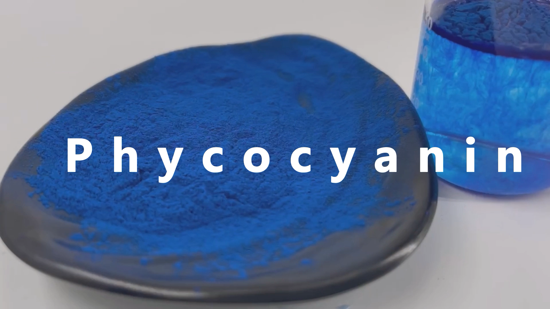 Natural Pigment Spirulina Extract Blue Powder Phycocyanin Food Grade Phycocyanin