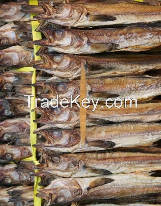 tuna dried fish south africa whole delicious dried salted fish 10kg carton 15tons 15days packaging package buyers for dried fish