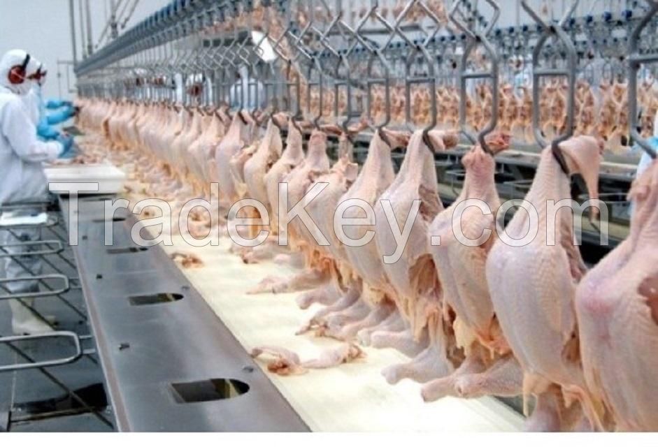 processed frozen chicken feet chicken frozen box status dressed style piece packaging exceed outer chicken frozen food