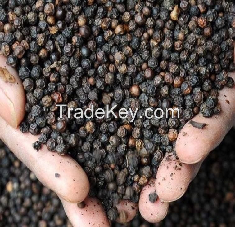 wholesale hot selling black pepper grains price with high quality chili pepper red chili powder black vietnam  pepper