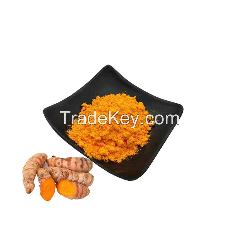 Factory Supply Curcumin 95% Pure Natural Curcumin Powder Curcuma Extract