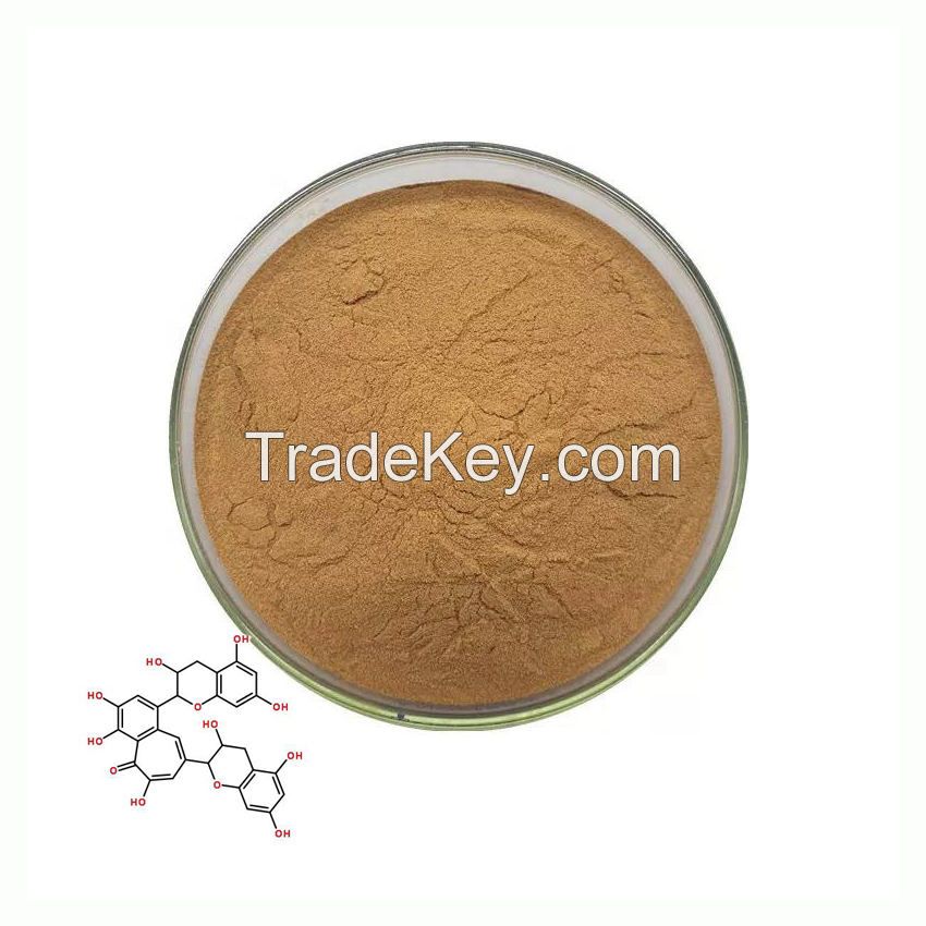 Natural Black Tea Leaf Extract Powder Food Grade Water Soluble 10%-40%  Theaflavins