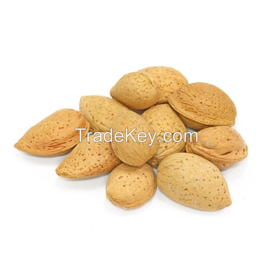 Buy Raw Almonds Online | Cheap Price Almonds Nuts In-shell