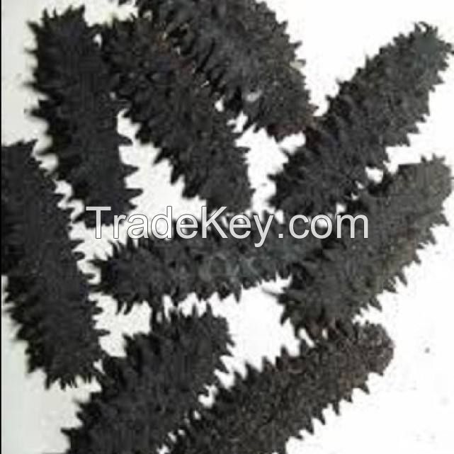 nutritious sea cucumber dry to regulating blood lipid white teat fish dried sea cucumber Packaging Organic Feature Shelf Origin