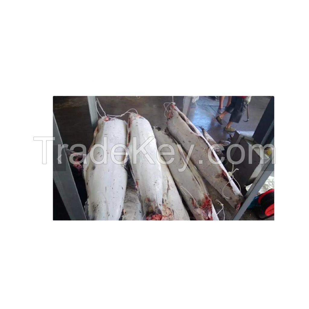 Marlin Fish Headess Gutted Frozen Oil Fish HGT whole price south africa whole round  supplier black frozen marlin fish for sale