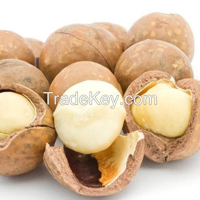 cosmetic grade hair care oil macadamia nuts oil 100 pure organic essential yellow JIN Top  macadamia kernel