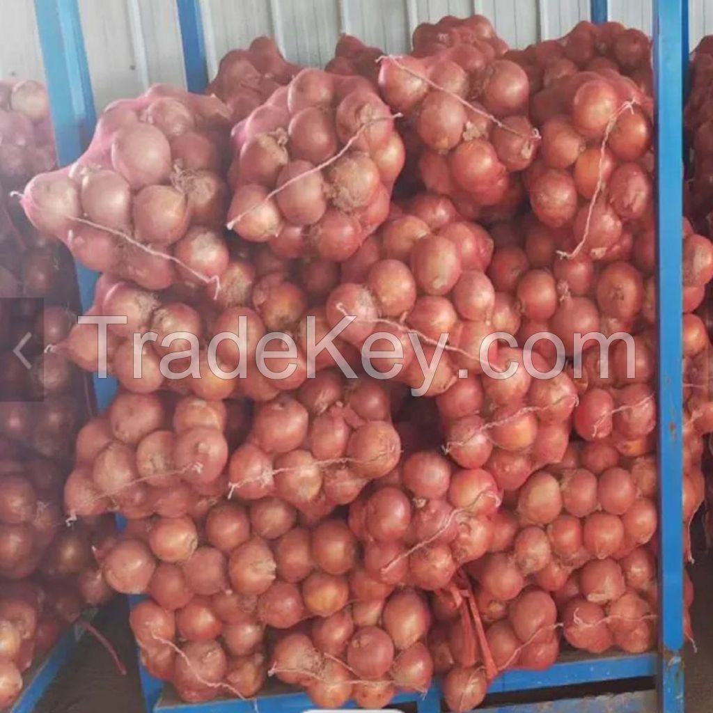 Premium Fresh Red, Yellow, White, and Brown Onions for Export - High-Quality and Competitive Prices!