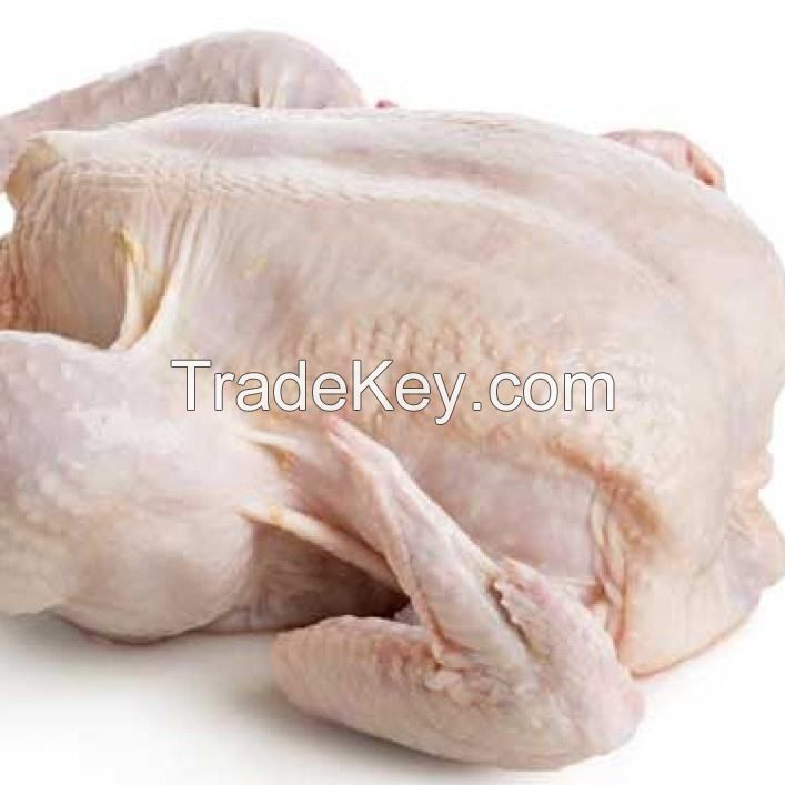 Freshly Made Frozen Chicken Skinless Boneless food grade 5kg pack 25tons 15days wholesale halal frozen whole chicken giblets