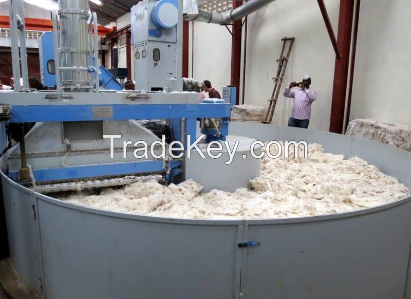 Raw cotton / Cotton Yarn / Cotton Fiber Worldwide