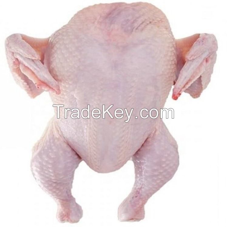 Freshly Made Frozen Chicken Skinless Boneless food grade 5kg pack 25tons 15days wholesale halal frozen whole chicken giblets