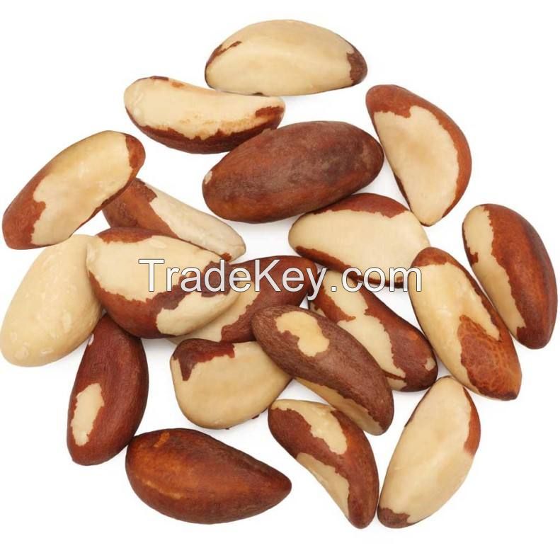 cheap wholesale good typical  brazil nuts wholesale premium organic toasted brazil nuts with shell for snacks