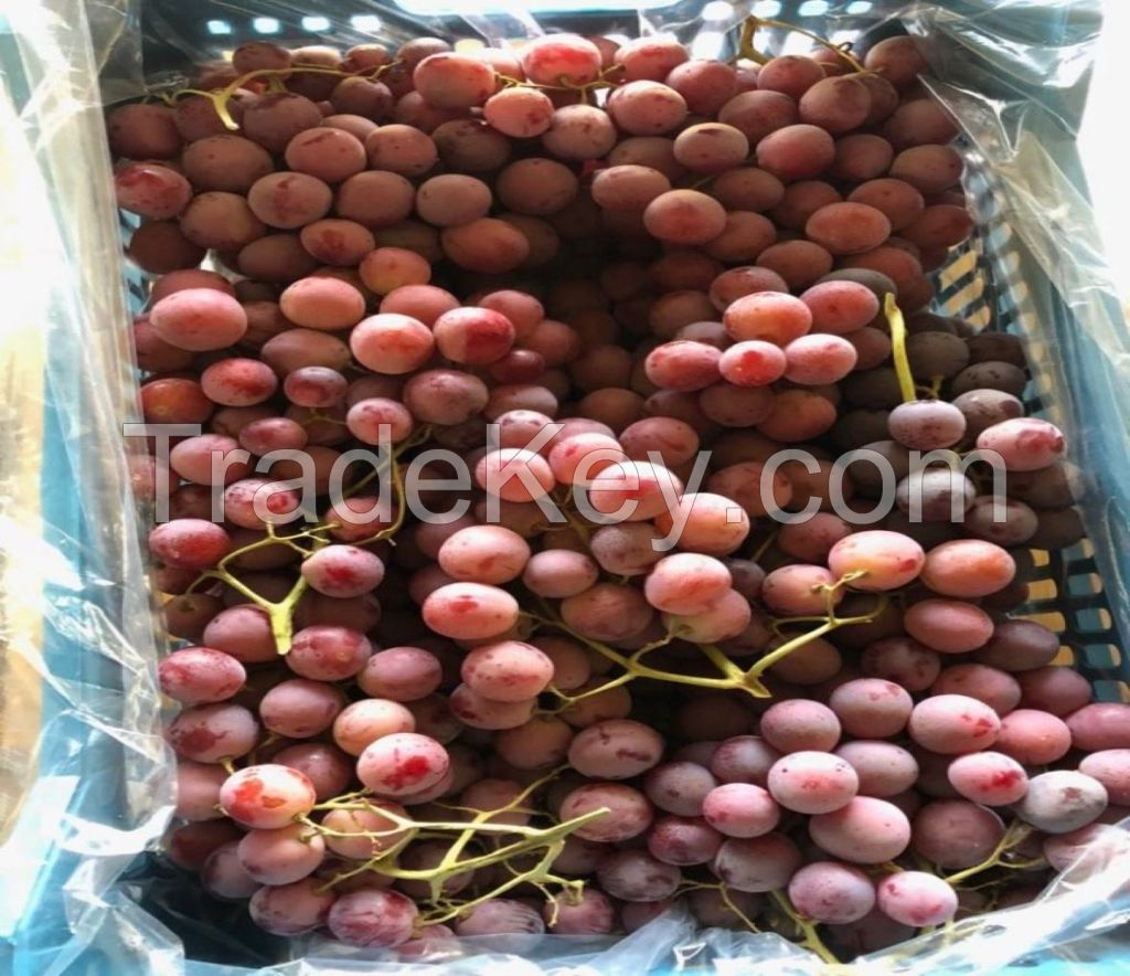 mature red globe fresh grapes premium style storage food organic package 248g/336g/680g/880g/1680g Glass Jars seedless grapes