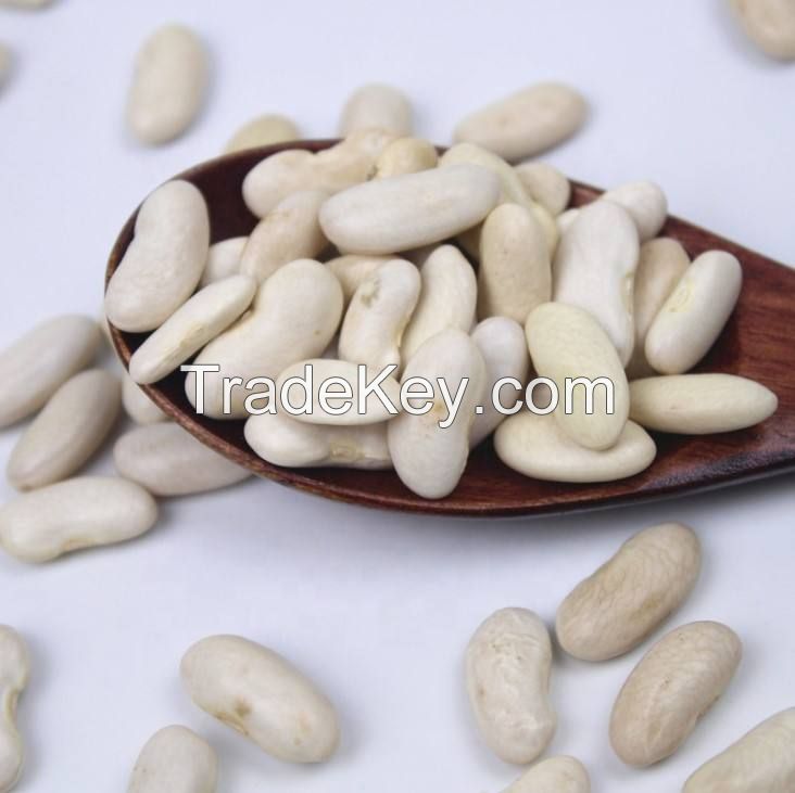 wholesale high quality dry long white kidney beans packing organic green mung bean red black max bulk style