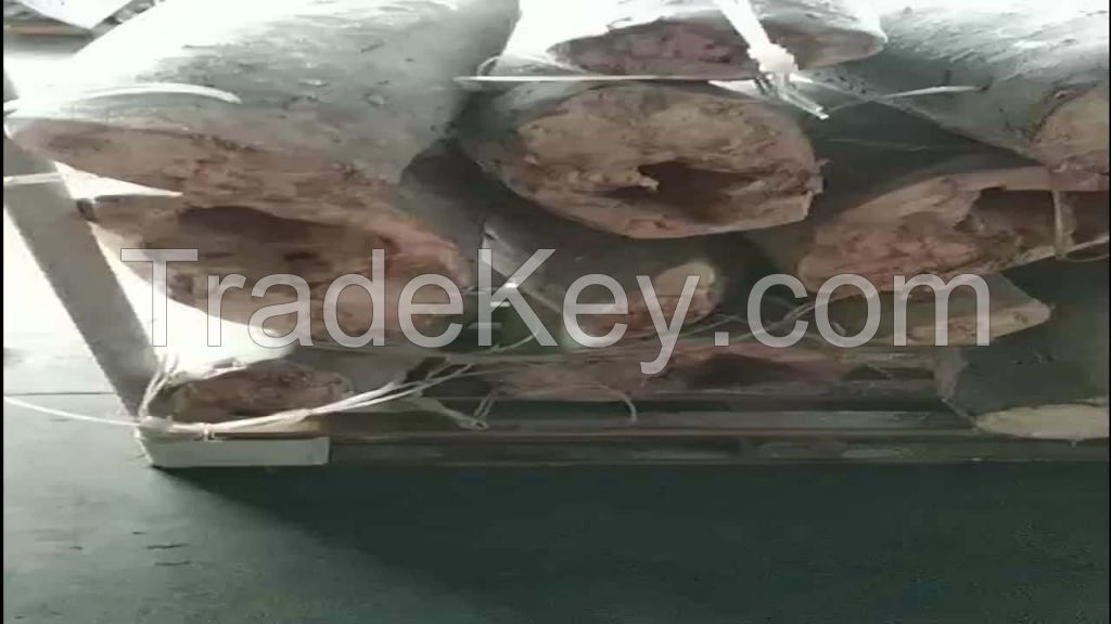 marlin fish Headess gutted frozen oil fish hgt blue body block marline and tuna whole frozen marlin fish
