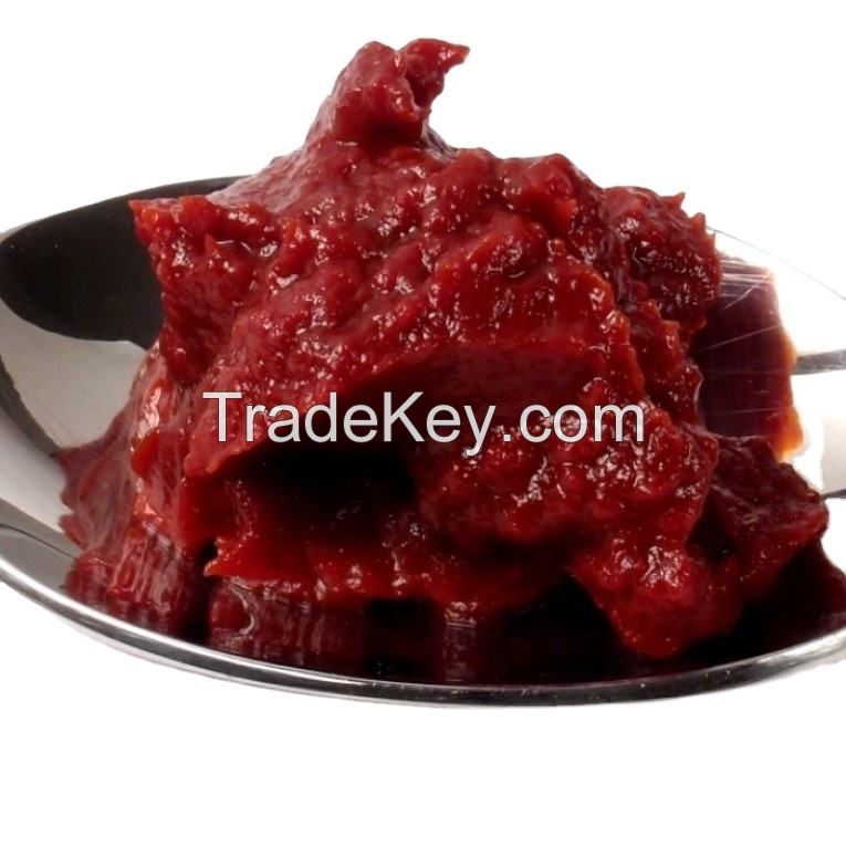 canned Tomato paste concentration cans for sale canned high fresh quality tin tomato paste manufacturer 2200g custom