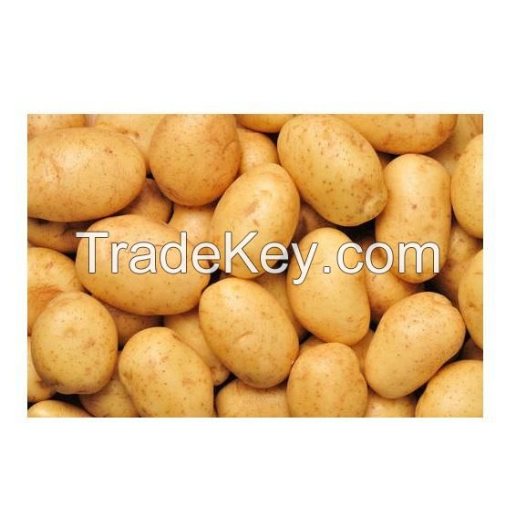 Best Quality Hot Sale Price Fresh Vegetable Potatoes