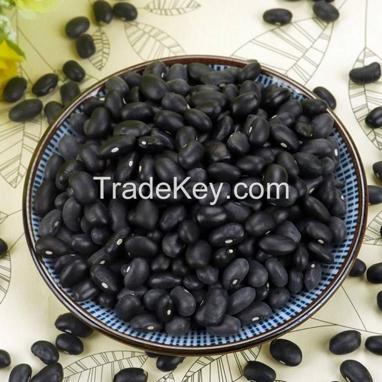 red kidney beans shelf water origin type life shape black kidney bean bags max gift red light crop long black kidney bean