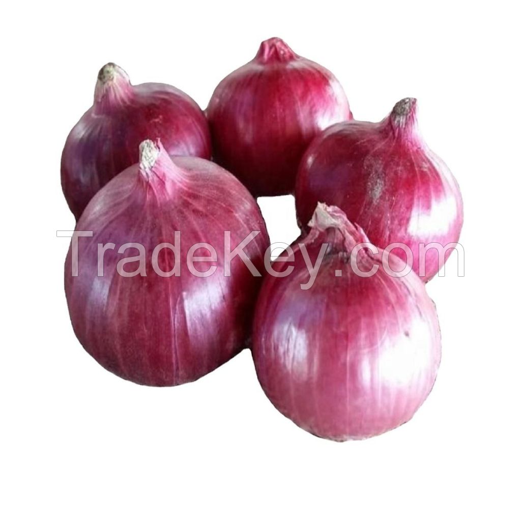 Premium Fresh Red, Yellow, White, and Brown Onions for Export - High-Quality and Competitive Prices!