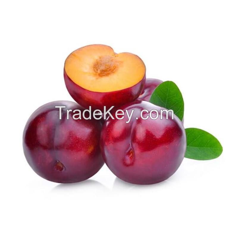 organic plum origin type fresh plum fruits from south africa for sale fresh black plum fruit