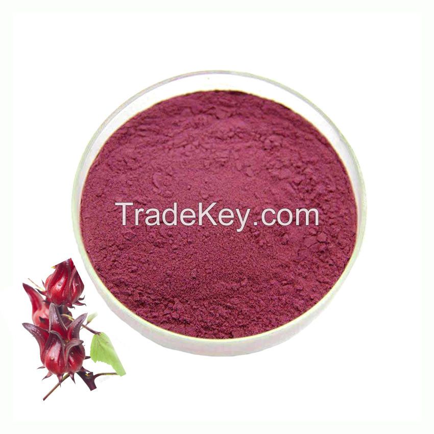 ISO Certification Hibiscus Flower Roselle Extract Natural 10:1 Calyx Rose Extract Powder