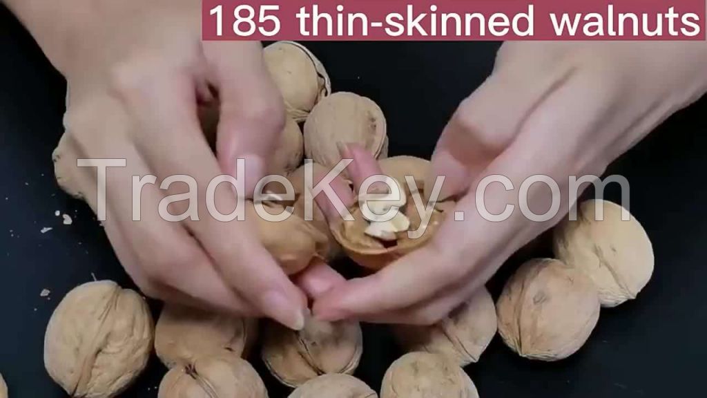 top quality best selling thin shell export skinless walnut for sale  wholesale hight quality walnut kernels and rich nutrition