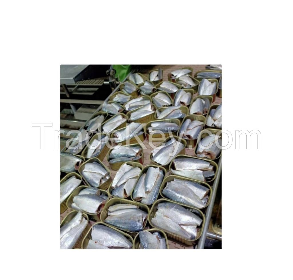 high quality wholesale sardine canned fish 125g 50tins Light Catch Frozen Sardine Morocco canned sardine fish in vegetable oil