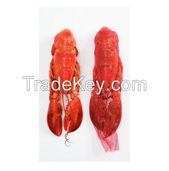 Frozen Lobster Frozen Lobster Tails Fresh Live Lobster