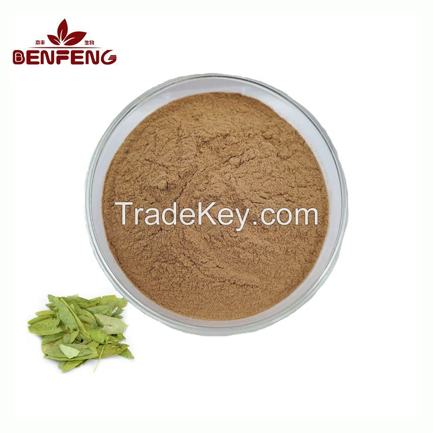 Weight Loss Senna Leaves Extract Powder Natural Senna Leaf Extract 20% Sennosides