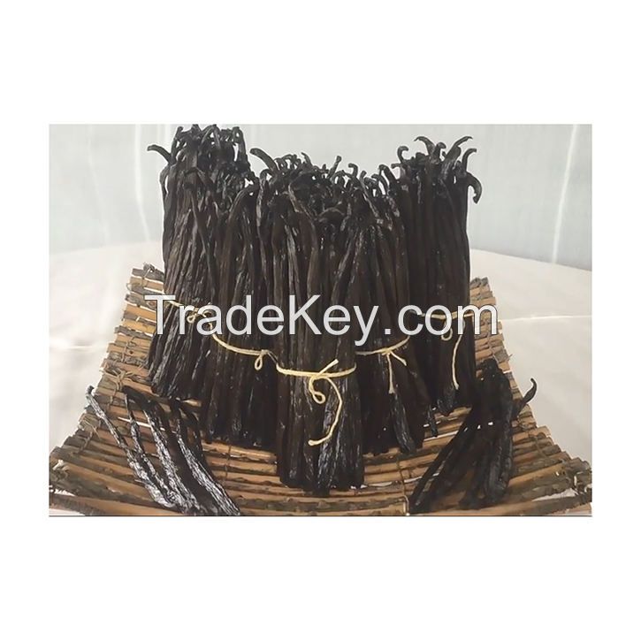 High quality cheap price seed wholesale  madagascar vanilla beans kg