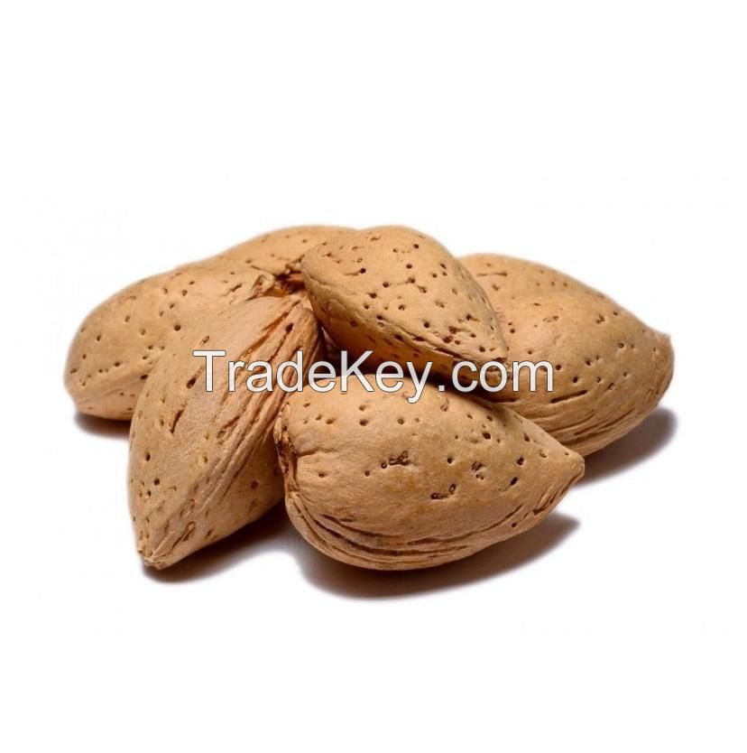 Buy Raw Almonds Online | Cheap Price Almonds Nuts In-shell