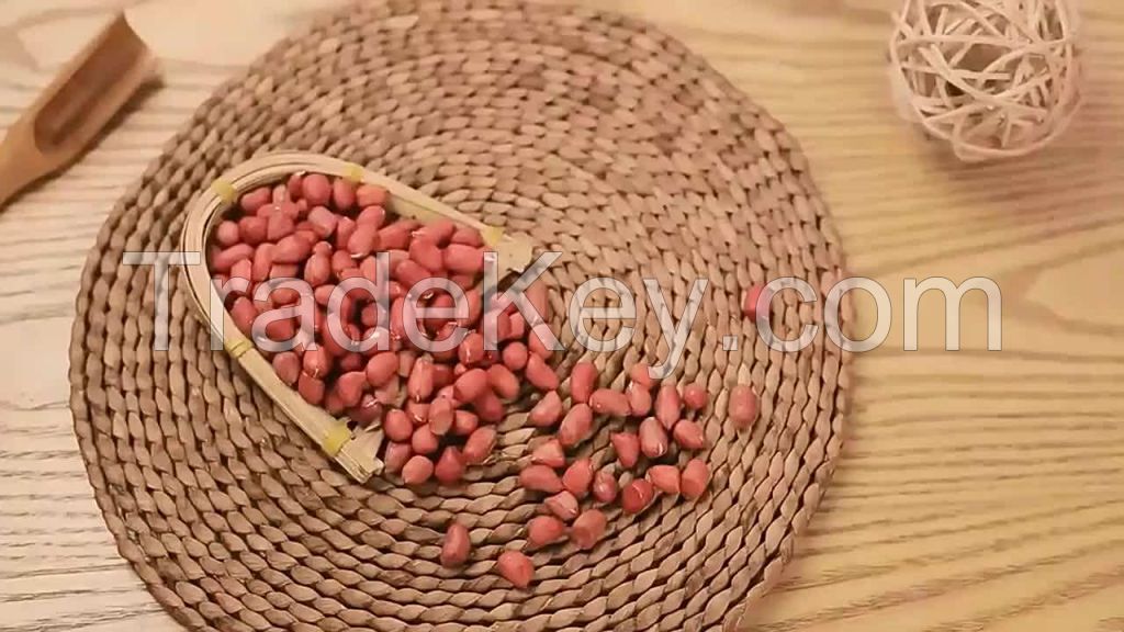 Food Crispy Nuts Snacks Flour Coated Roasted Peanuts bulk blanched peanut products for sale ground nut peanuts in shell