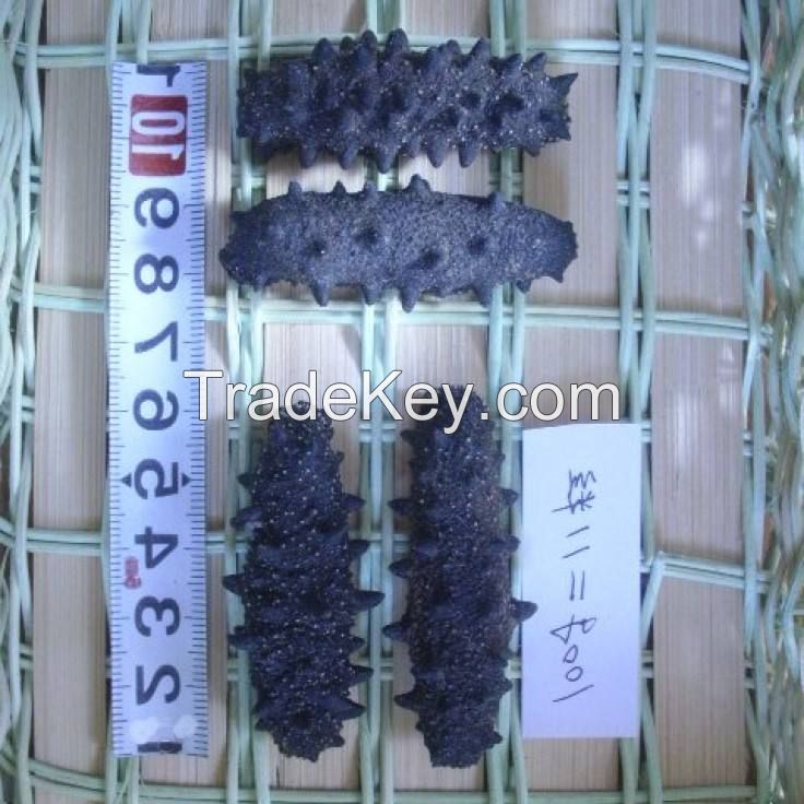 nutritious sea cucumber dry to regulating blood lipid white teat fish dried sea cucumber Packaging Organic Feature Shelf Origin