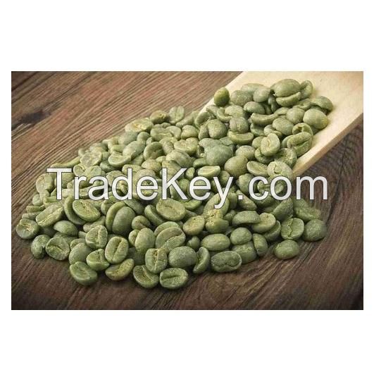 High Quality Competitive Price Products Arabica Green Coffee Bean WIth 12 Months Shelf Life