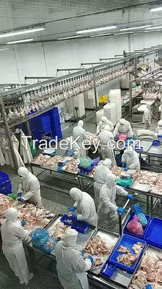frozen boneless halal chicken breast 120gr pack in 10 kg carton boneless chicken feet frozen chicken breast