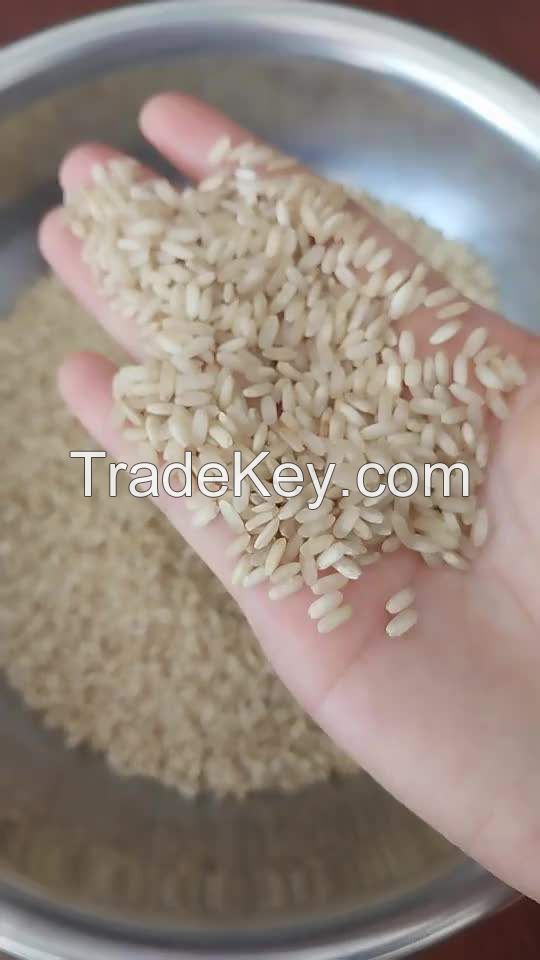 White Original 10KG bag 25 tons 15days rice wholesalers long grain white rice 5% broken long grain white rice