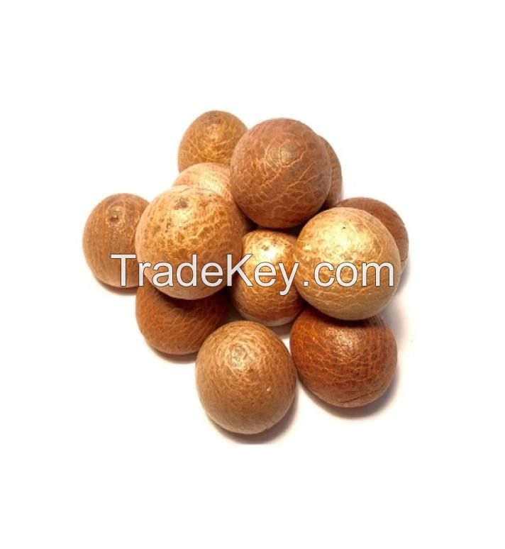 dried betel nut South Africa organic High quality best-selling dried betel nut areca Dried nut for sale