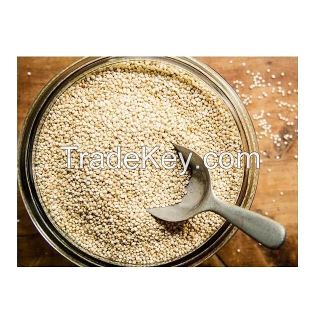 High Quality Organic Seeds White Quinoa Grains Health care Grains Available For Sale At Low Price